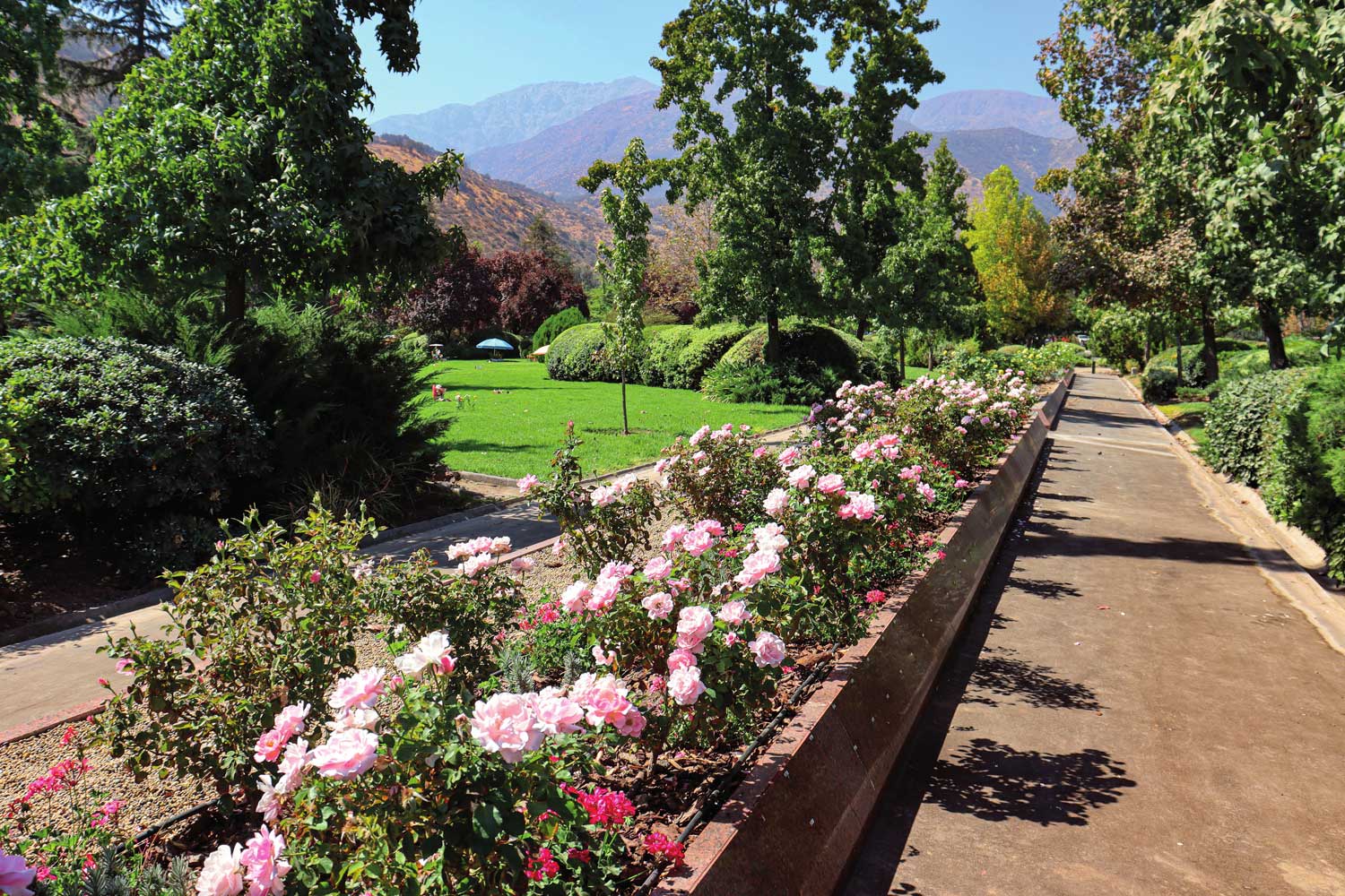 Jardín de Flores